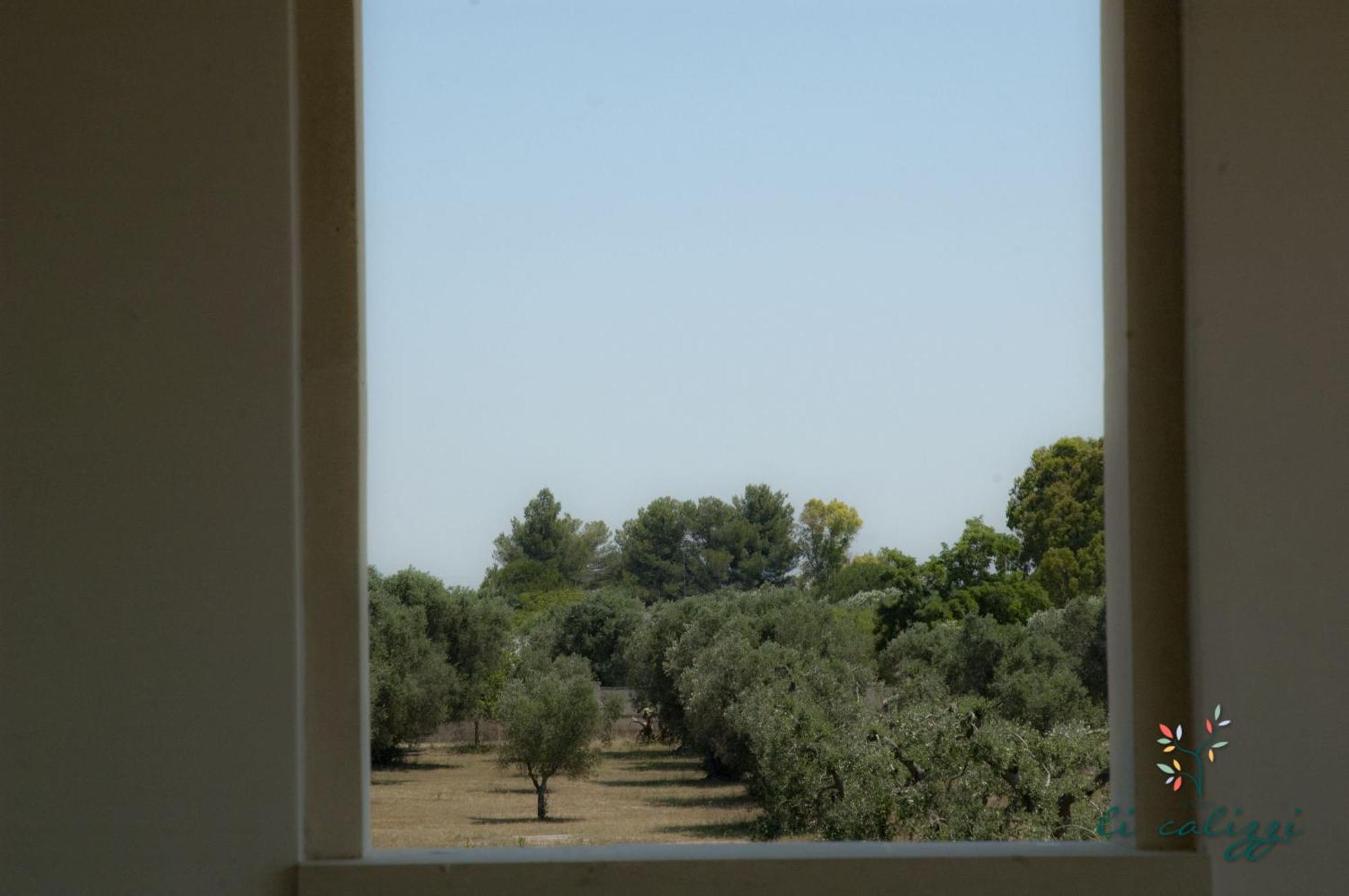 Novoli Agriturismo Li Calizzi Arte E Natura חדר תמונה